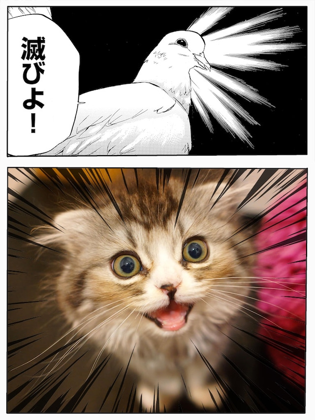 「聖おにいさん下界カメラ」の使用例。(c)Nakamura Hikaru / Kodansha Ltd. / Asobism,co.ltd.