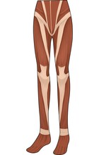 プリントタイツ（超大型巨人柄）(c)諫山創／講談社 (c)諫山創・講談社／「進撃の巨人」製作委員会