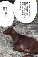 アプリ「孤独のカメラ」のフレームの1種。