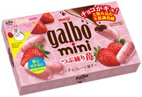 「ガルボミニつぶ練り苺 箱」