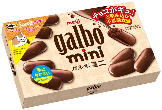 「ガルボミニ 箱」