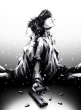 「WILD ADAPTER」キービジュアル Illustration：峰倉かずや