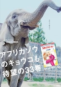 「スキビ」33巻、宣伝大使はアフリカゾウの“キョウコ”