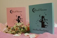 「スターパワープリズムアイライナー限定ボックスセット」はピンクとブルーの2種類。(c)武内直子・PNP・東映アニメーション (c)Naoko Takeuchi