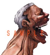 「進撃の巨人 Before the fall」カット (c)諫山 創・涼風 涼・士貴智志／講談社