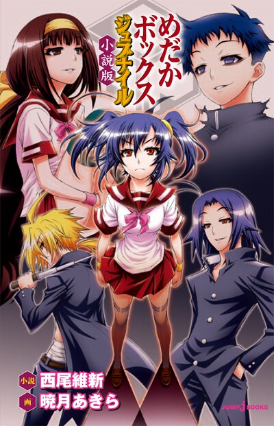 「めだかボックス ジュブナイル 小説版」