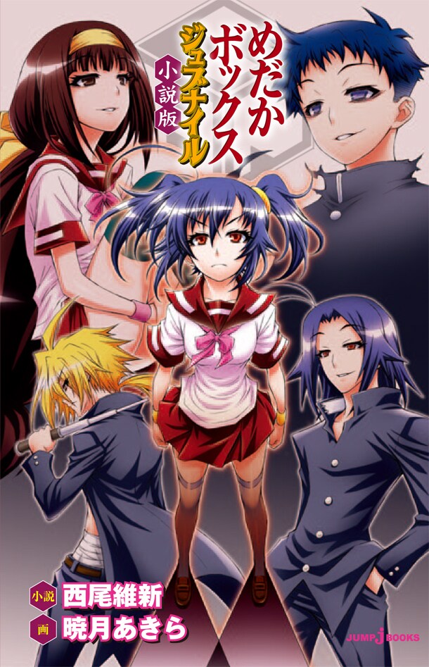 「めだかボックス ジュブナイル 小説版」