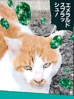 「ジャンプカメラ!!」で配信されている「ジョジョの奇妙な冒険」スタンプの一例。(c)荒木飛呂彦＆LUCKY LAND COMMUNICATIONS／集英社