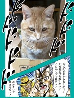 「ジャンプカメラ!!」で配信されている「ジョジョの奇妙な冒険」スタンプの一例。(c)荒木飛呂彦＆LUCKY LAND COMMUNICATIONS／集英社