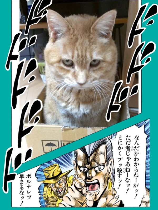「ジャンプカメラ!!」で配信されている「ジョジョの奇妙な冒険」スタンプの一例。(c)荒木飛呂彦＆LUCKY LAND COMMUNICATIONS／集英社