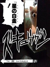 「ジャンプカメラ!!」で配信されている「ジョジョの奇妙な冒険」スタンプの一例。(c)荒木飛呂彦＆LUCKY LAND COMMUNICATIONS／集英社