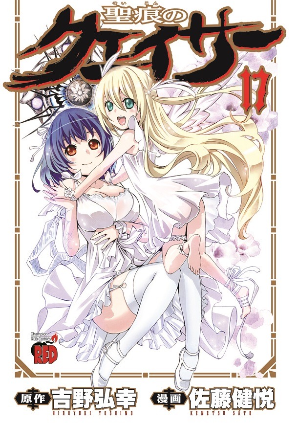 「聖痕のクェイサー」17巻