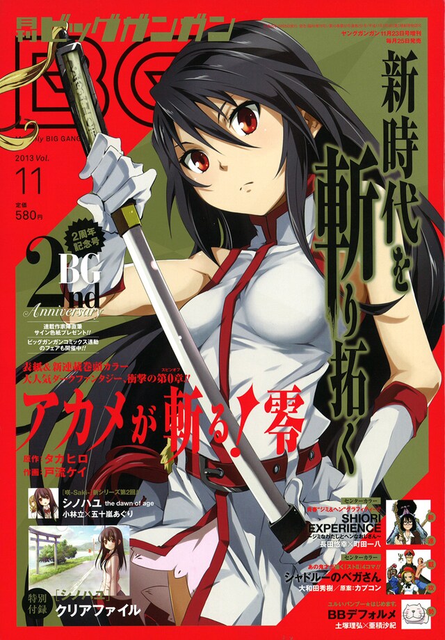 月刊ビッグガンガンVol.11