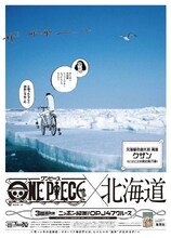 北海道新聞に掲載される広告。(c)尾田栄一郎／集英社