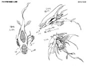 進化侵略体の設定資料。(c)久正人／アース・スター エンターテイメント・ 「ノブナガン」製作委員会