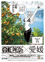 愛媛新聞に登場したナミ。(c)尾田栄一郎／集英社