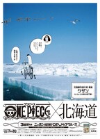 北海道新聞に登場したクザン。(c)尾田栄一郎／集英社