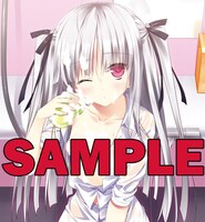 付録の「アブソリュート・デュオ」お風呂ポスター。イラストは浅葉ゆうの描き下ろし。