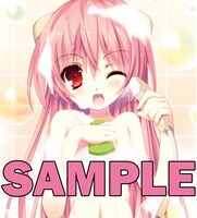 付録の「星刻の竜騎士」お風呂ポスター。イラストは〆鯖コハダ描き下ろし。