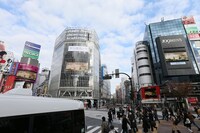 「カノ嘘」色に染まった渋谷の街頭ビジョン。