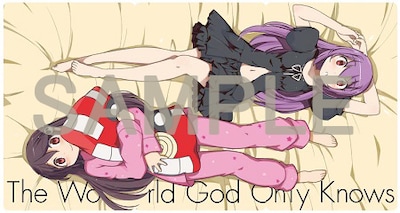 「神のみぞ知るセカイ」24巻限定版に付属しているクリアファイルセットの裏面。