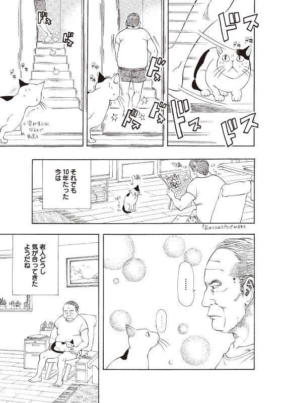 「新久千映のねこまみれ」より