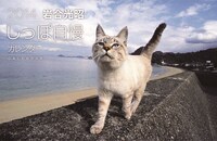 オトナファミ2014年2月号の付録「岩合光昭 2014しっぽ自慢カレンダー」。