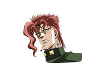 花京院典明 (c)荒木飛呂彦＆LUCKY LAND COMMUNICATIONS/集英社・ジョジョの奇妙な冒険SC製作委員会