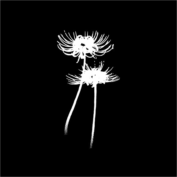 背面には彼岸花のイラストをデザイン。(c)松本光司／講談社