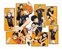 アニメ「ハイキュー!!」ビジュアル (c) 古舘春一／集英社・「ハイキュー!!」製作委員会