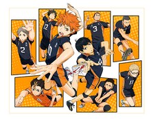 アニメ「ハイキュー!!」のビジュアル。(c) 古舘春一／集英社・「ハイキュー!!」製作委員会・MBS