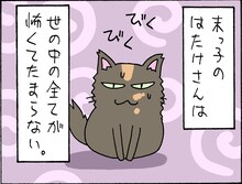 片倉真二の猫エッセイ「はたけさん」より。