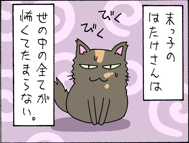 片倉真二の猫エッセイ「はたけさん」より。