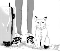 篠丸のどかの猫エッセイ「ノラ猫道」より。