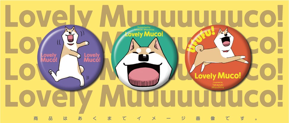 いとしのムーコ 限定版 5 みずしな孝之　ＤＶＤ　缶バッジ付き