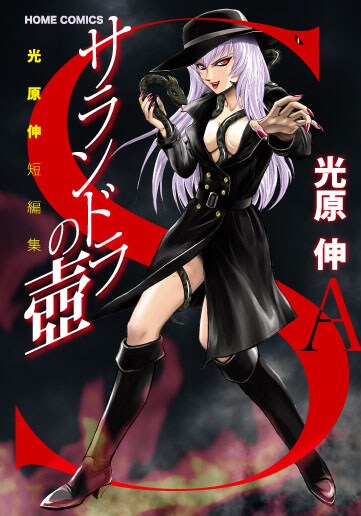 「サランドラの壺 光原 伸短編集」