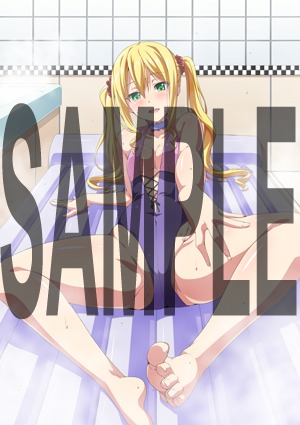 月刊ドラゴンエイジ4月号に付くお風呂ポスター。