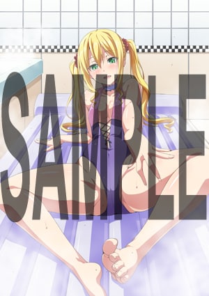 月刊ドラゴンエイジ4月号に付くお風呂ポスター。