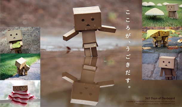 「ダンボー写真展」告知ビジュアル