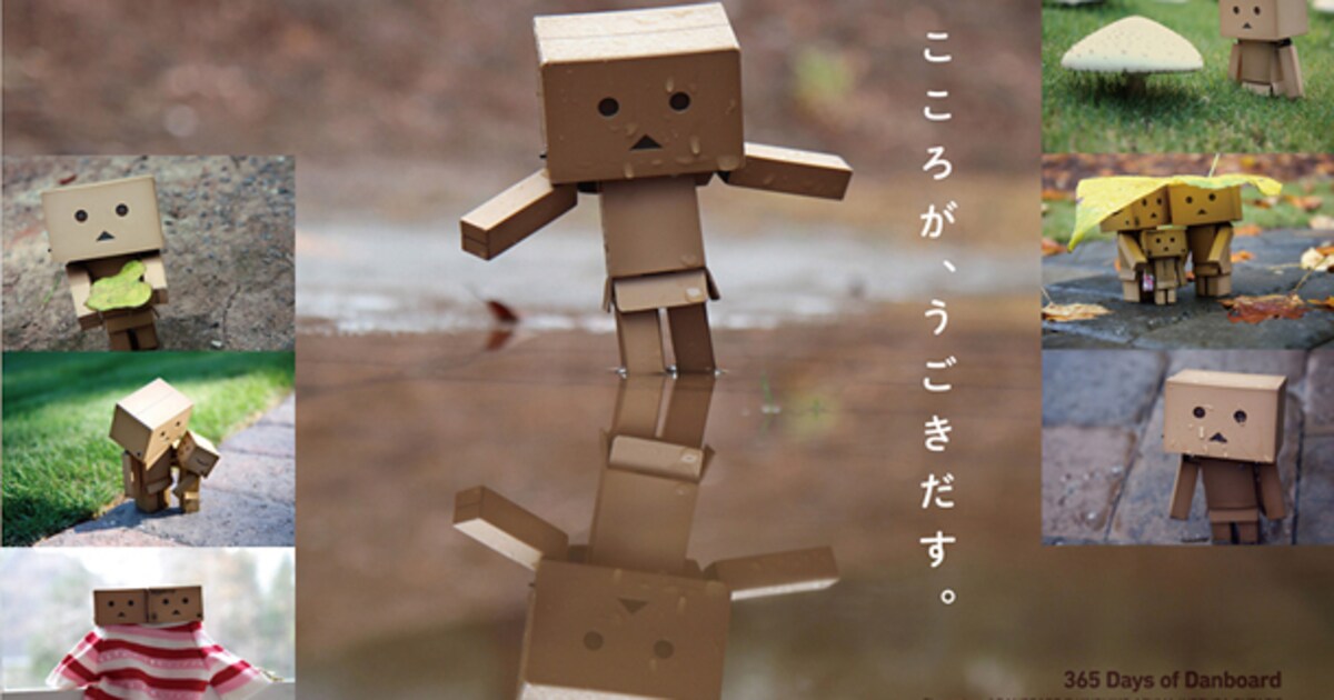 danbo_2.jpg?impolicy= 