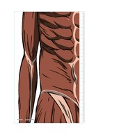 E賞：ものさし（E-2） (c)諫山創・講談社/「進撃の巨人」製作委員会