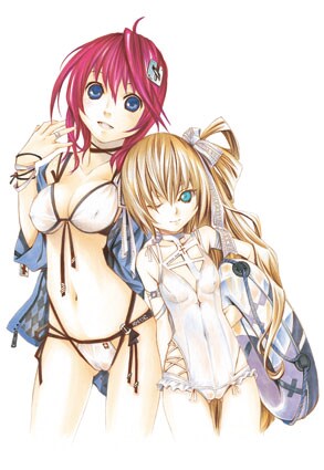 「聖痕のクェイサー」複製原画。木製の額に入った状態で届けられる。