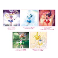 「美少女戦士セーラームーン THE 20TH ANNIVERSARY MEMORIAL TRIBUTE」アナログ盤のジャケット。(C)Naoko Takeuchi