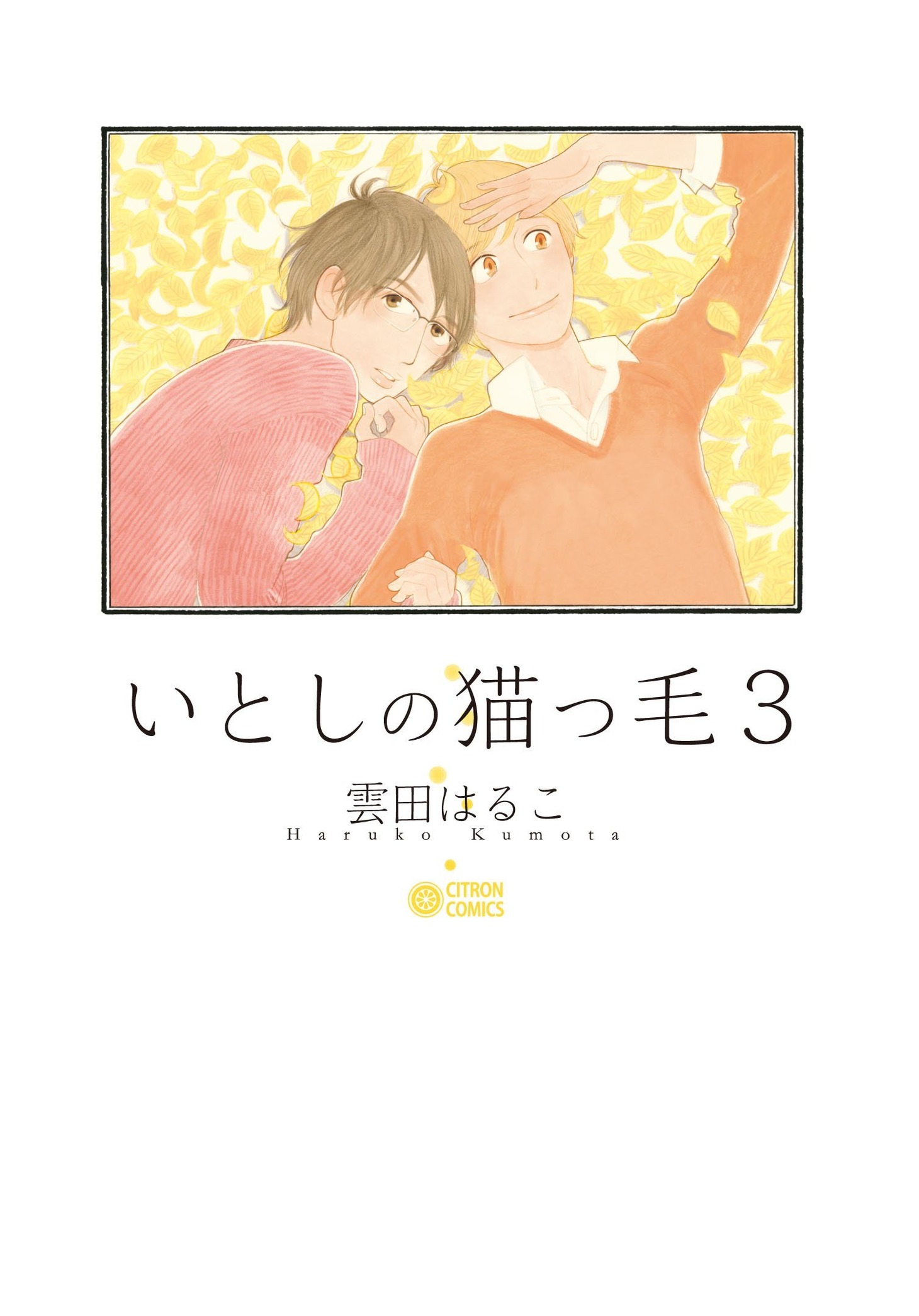 「いとしの猫っ毛」3巻