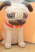 アポのバルーン。