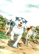 高橋よしひろによるカット。