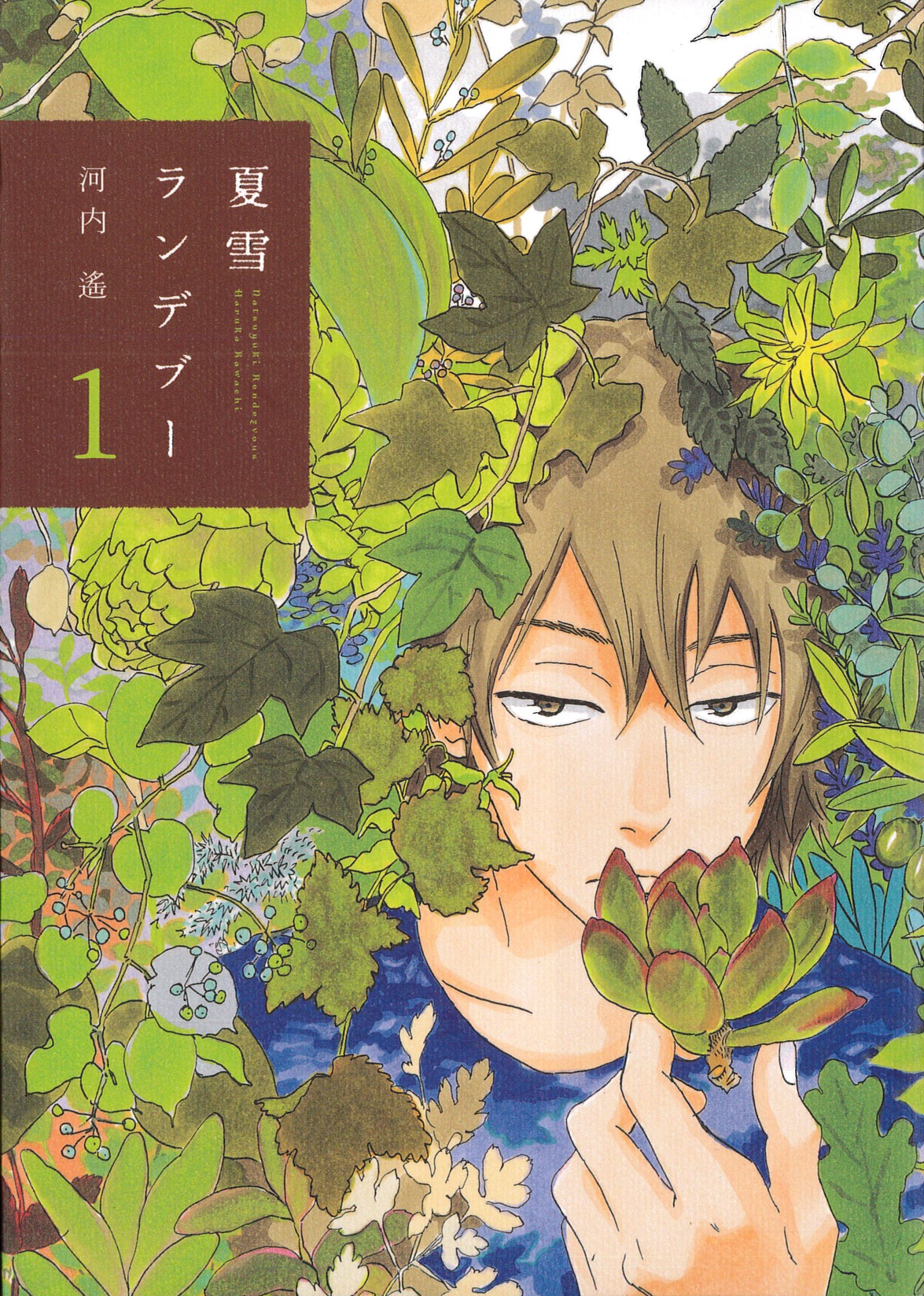 河内遙「夏雪ランデブー」1巻