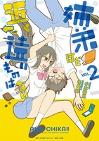 「姉弟ほど近く遠いものはない」2巻