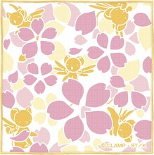 F賞：ガーゼタオル（全3種）(c)CLAMP・ShigatsuTsuitachi CO.,LTD./講談社