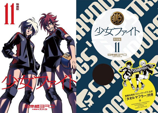 日本橋ヨヲコ「少女ファイト」11巻特装版の表紙（左）とパッケージデザイン（右）。